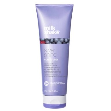Silver Shine Conditioner plaukų kondicionierius šalinantis geltonus tonus 250ml